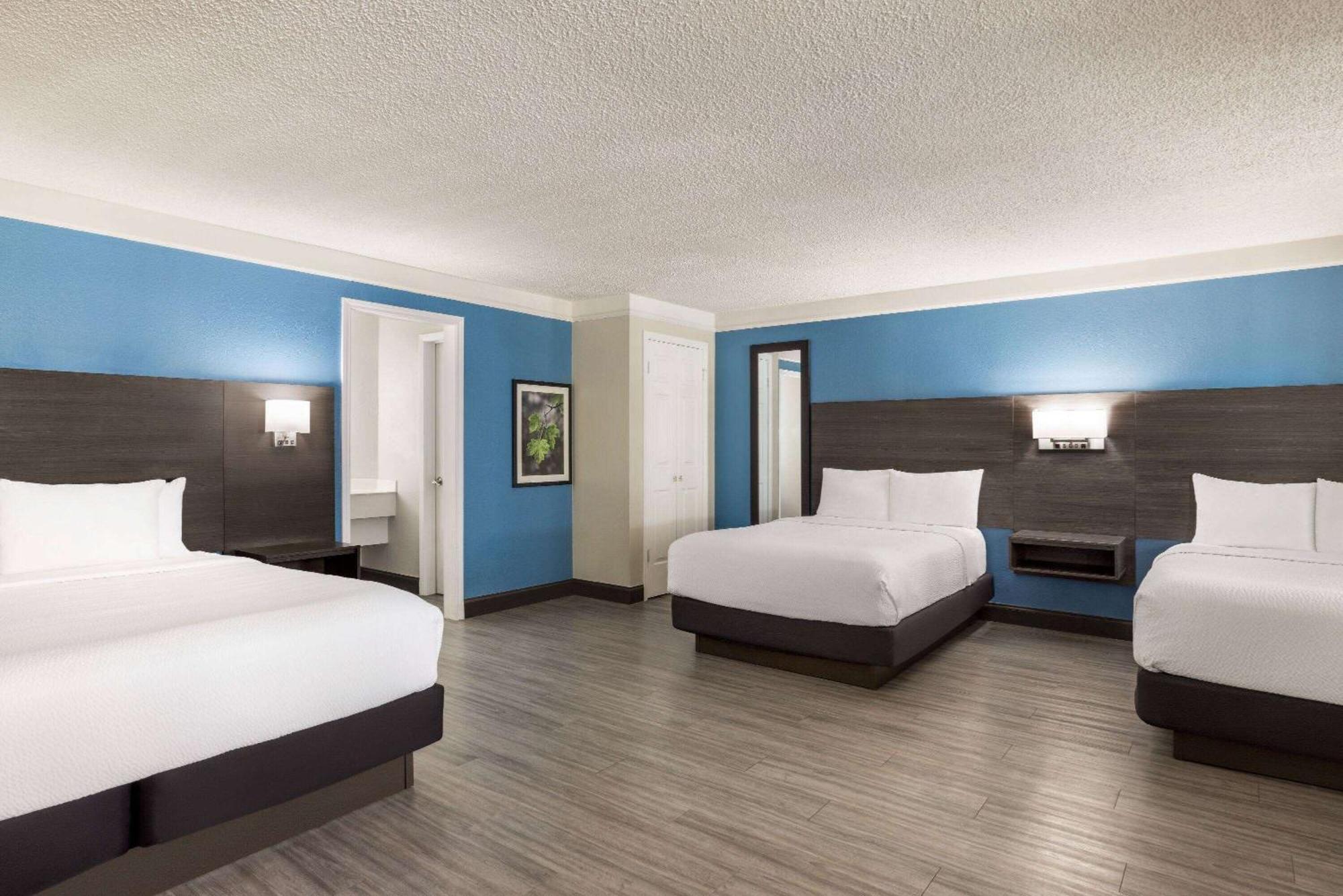La Quinta Inn By Wyndham San Antonio I-35 N At Toepperwein Esterno foto
